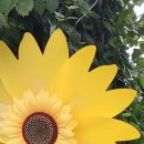 성거-07 | 이수도1박2일.1박3식.시방리초딩동기부부팀.거제도여행