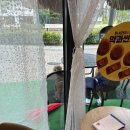 더 포레 동물병원 네이버블로그