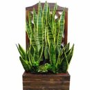 그린웰빙 이미지