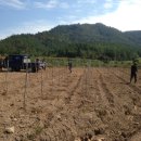 방축농장 이미지