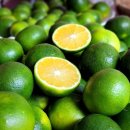 센텀향도 이미지