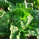 여월주공어린이집 이미지