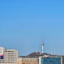 116호어린이공원 | 삼각지역 생면 파스타집 테드 후기(feat. 용산어린이정원)