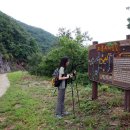 고종시마실길 이미지