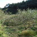 동식농장 이미지