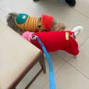 큣페이스 이미지