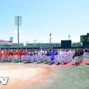 세종제1야구장 이미지