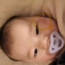 가야-8 | 🍼8개월 아기 침대 낙상 후기, 밤에 응급실 가야 할까? 집에서 관찰한 경험