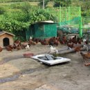 창녕화왕산 그린펜션 이미지