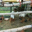 스테이꾸꾸 이미지