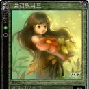 님프플라워 - 중구 두미포로 89 | 님프플라워