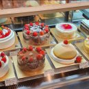 베이커리본 이미지