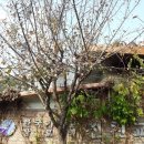 동대전중앙교회 이미지