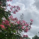 광주비아농협주유소 이미지