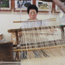 치목삼베영농조합법인 | 무주군, 치목마을 ‘삼베짜기’ 전북 무형문화재 지정 예고...