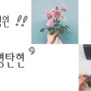 아이미안경탄현