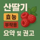 (7/21)산딸기 식초 만들기 | 산딸기 효능 부작용 알아보기