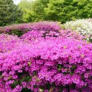 박물관공원(부평역사박물관 옆) 이미지