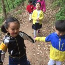 대장나무숲놀이터 이미지