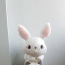 버터솜