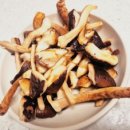 솔향이 진한 이미지