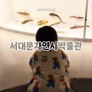 서울 서대문자연사박물관 주말 나들이 유모차 주차 팁