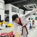 오송태권도 이미지