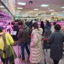 롯데마트 제타플렉스점 이미지