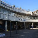 장성종합시장 | 가락시장 방어 맛집, C-23호 '장성수산'에서 장성 오마카세 소(小)자 후기