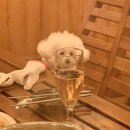 봉자펜션 이미지