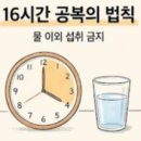 역동치매방지활동실 | 오토파지란 무엇일까? 간헐적 단식과 세포 재활용 시스템의 과학적 원리