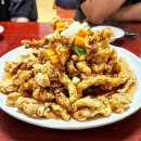 목화반점 이미지