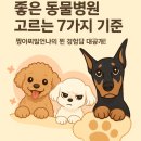 마마동물병원