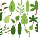 상계종합사회복지관 이미지