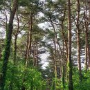 동창식당 이미지