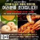 압해도 용마을 Daum카페