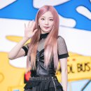핑크여우 이미지