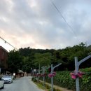 세계모란공원 | 전남 강진 _ 세계 모란 공원 _ 후기