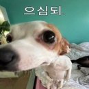 주식회사 가짐 | 첫 오사카 여행 2일차 / 난바부터 오사카성까지, 도톤보리 맛집 투어
