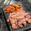 신마포갈매기 이미지