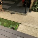 Bali photo dump3