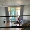 별빛나리펜션 이미지