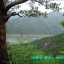 초록세상 이미지