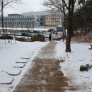 체육문화센터진입로1 이미지