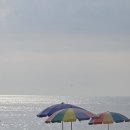 안면도 꽃지해수욕장 및 샤워장, 튜브, 파라솔 대여가격 정보