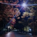 단풍노래연습장 이미지