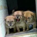 여주-0182 이미지