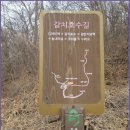 갈치호수길 이미지