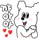 샬레드서울 이미지