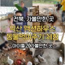 원반농장 | [전북/익산]액션하우스 아이와 가볼만한 동물 체험, 관람하기 좋은 곳, 이색 체험 공간